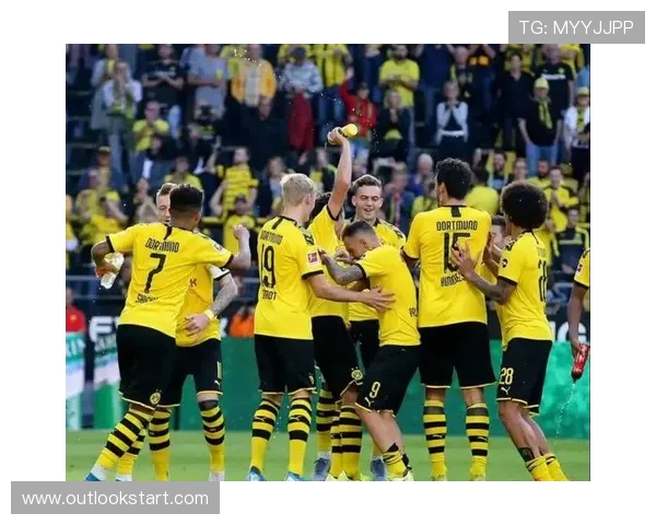 德甲球队转会投入榜单：拜仁领跑，多特蒙德紧随其后